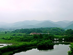 汝南县，特色产业兴旺，乡村致富正忙