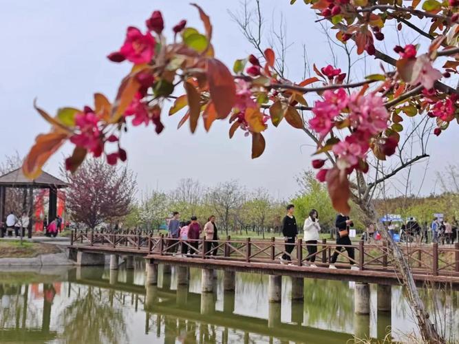 沭阳文化旅游探索