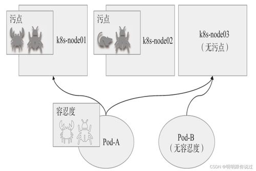 肠鸣正常范围