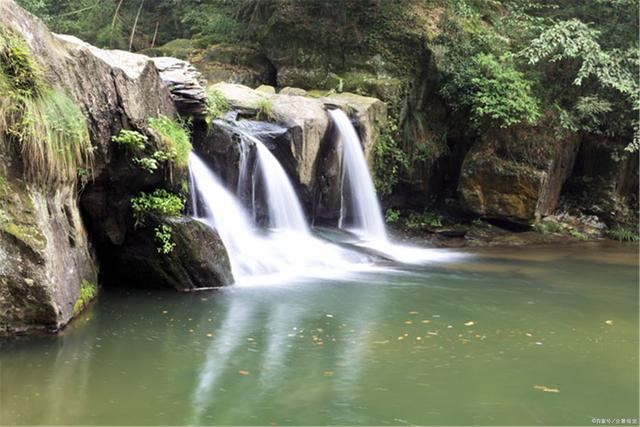 郑州出窝旅游服务有限公司