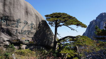 郑州到黄山高铁