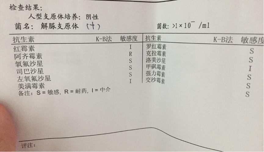 生殖系统支原体衣原体感染症状