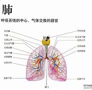 一次根治支气管炎偏方