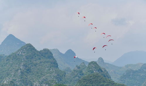 国际山地旅游日法国举办课程评价