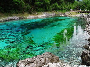 🏞️最佳旅游时间