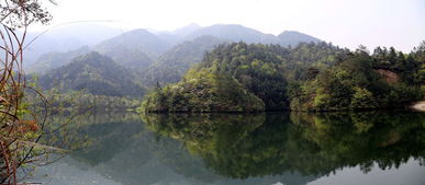 探秘茶韵山水间——武夷山旅游景点深度解析与必去清单