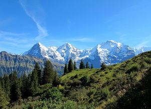 揭秘云台山门票背后的风景与价值，一场自然与文化的盛宴