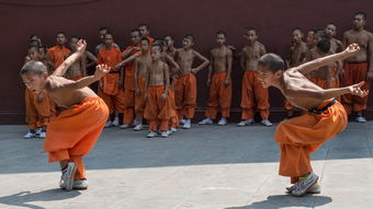 揭秘少林寺中的神秘武器——第八铜人，武术与哲学的双重象征