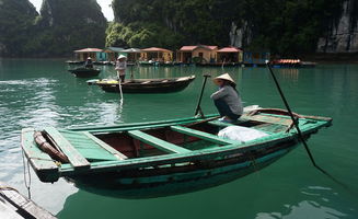 揭秘东南亚旅游性价比大揭秘，价格亲民，惊喜连连的旅行天堂