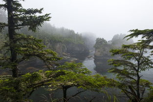 超级月亮下的壮丽瞬间，60秒看全国多地美景