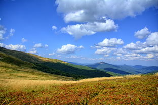 深度探索庐山，跟随团游的不为人知秘境——一场心灵与自然的对话