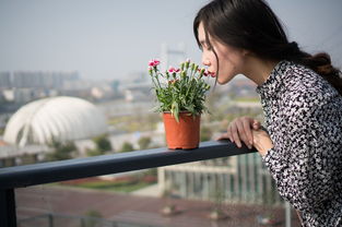 剩女代价，现代都市女性的孤独与选择