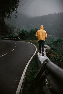 揭秘！长白山旅游团购背后的省钱秘籍与不容错过的精彩体验