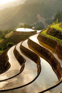 探秘古城深处，丽江旅游团购大揭秘，超值攻略与必去景点