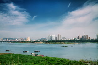 探秘自然的绿色明珠——野鸭湖湿地公园，生态画卷的静谧角落