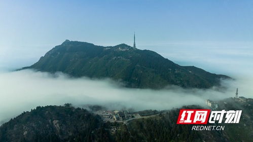 场景一晨雾中的山顶