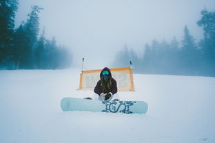 冬雷震震，夏雨雪，生活中的四季轮回与人生哲理