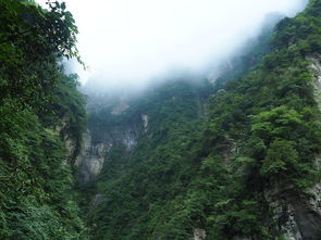 揭秘中国五大道教名山之首，万仙山的秘境探索