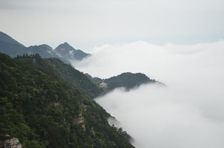 揭秘庐山，探索自然奇境的必读攻略与旅行注意事项