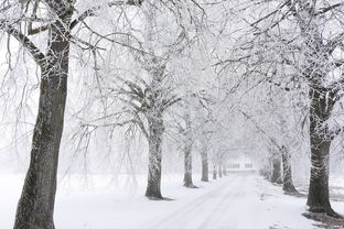 冬季的序曲，大范围降雪降温来临