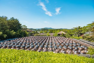 轻松探索瑰宝之地，武夷山的便捷旅程指南