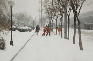 东北暴雪破纪录，雪中的挑战与应对