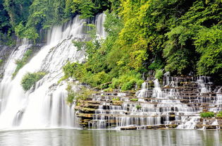 黄山是中国著名的自然风景区之一，以其险峻、秀丽、奇幻的景色而著称。当人们登上黄山时，会被其壮美的自然风光所震撼，感受到大自然的神奇和美丽。