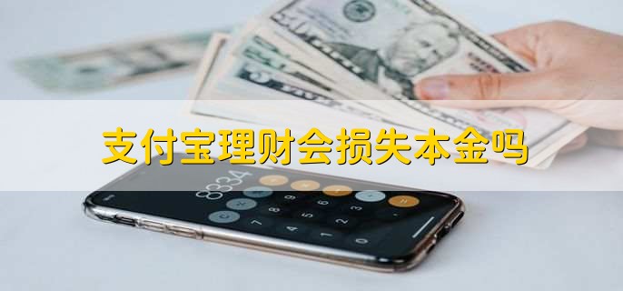 支付宝理财会损失本金吗 怎么取出？(支付宝理财会损失本金吗)