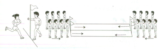 中小学体育资格证笔试教学设计题《30