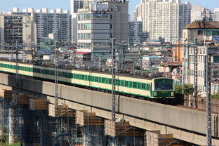 山东省菏泽市牡丹区西安路