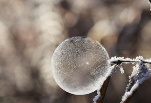 毛不易在冬至送给广州一场雪，这句话可能是在描述一种浪漫或富有诗意的场景，也可能是对特定事件的描述。