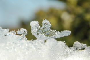 冬日的暖阳，未曾下雪的那抹深情