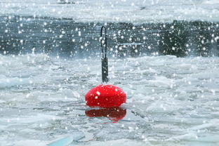 根据气象预测和观察数据，春节前全国确实有大范围的雨雪和寒潮天气。特别是在北方地区，大雪和寒潮天气较为频繁，给人们的出行和生活带来了一定的影响。