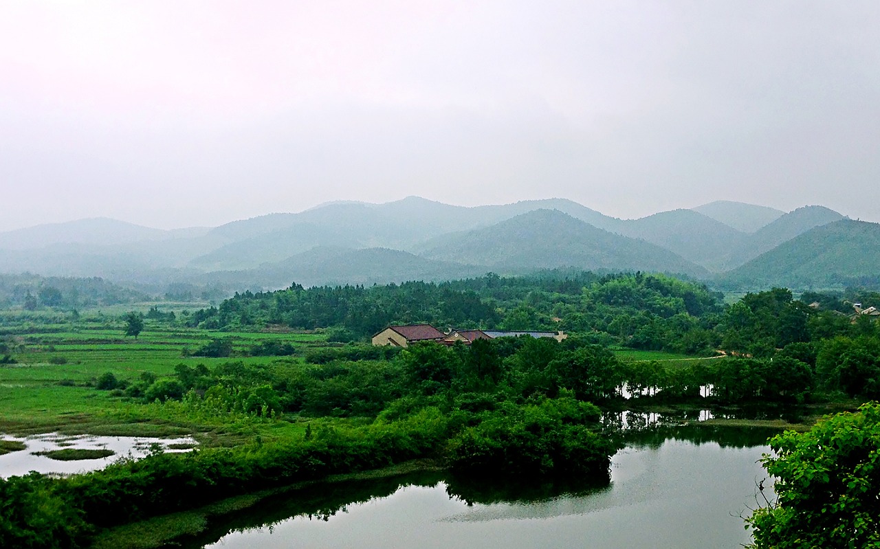 汝南县，特色产业兴旺，乡村致富正忙