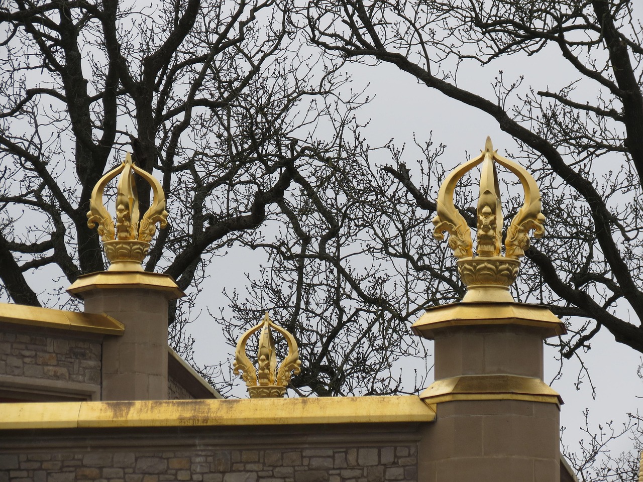 河南八旬老人法喜寺探访五百年玉兰盛景